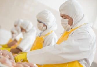 People working at a food factory doing quality control on some chickens