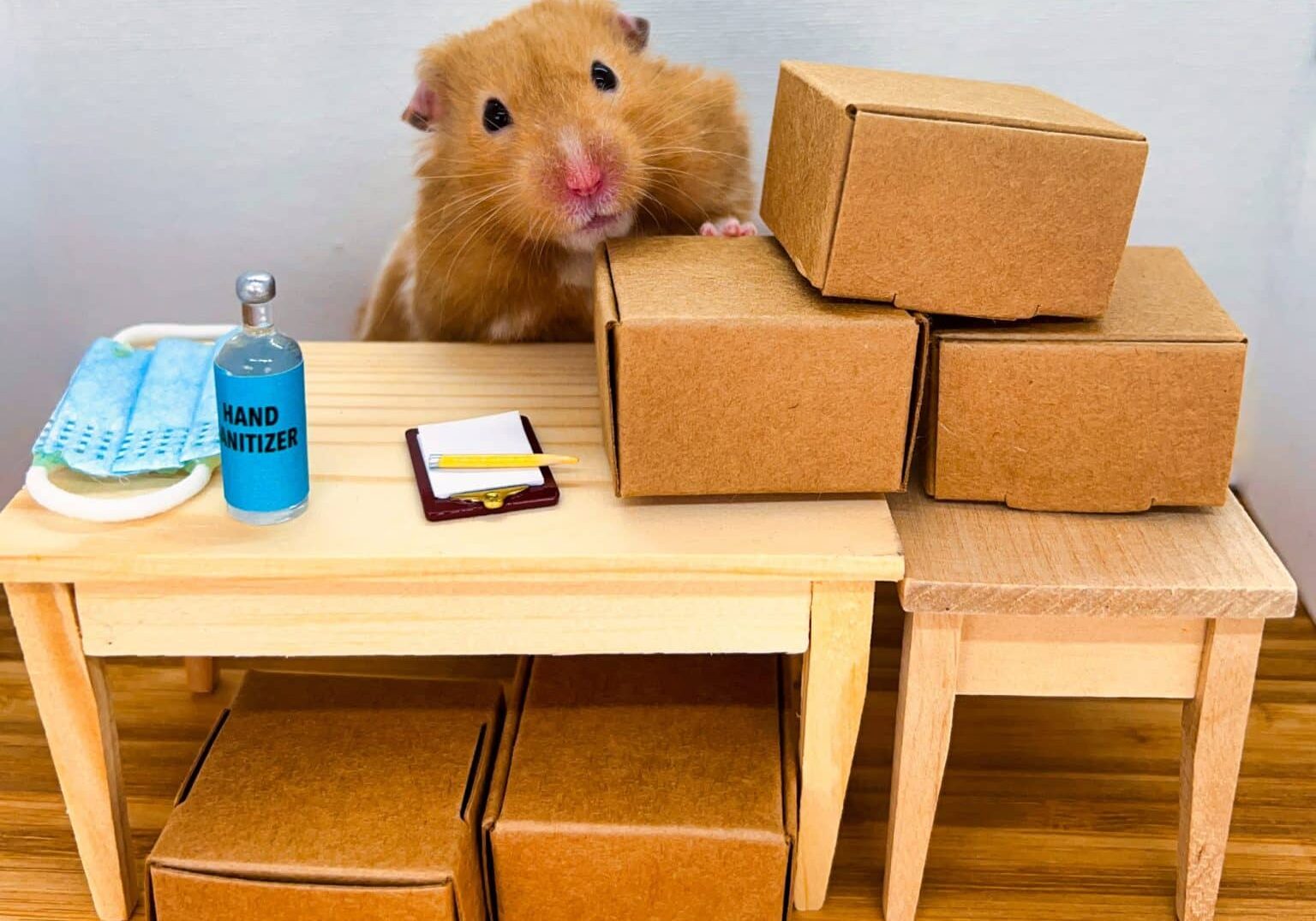 Golden hamster shipping boxes